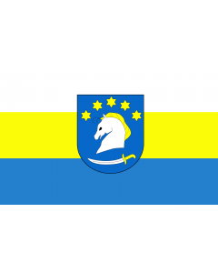 Flag: POL gmina Dziemiany |  landscape flag | 1.35m² | 14.5sqft | 90x150cm | 3x5ft 