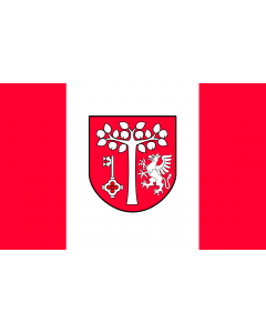 Flag: POL gmina Jodłownik |  landscape flag | 1.35m² | 14.5sqft | 90x150cm | 3x5ft 