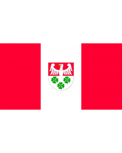 Flag: POL gmina Wierzchosławice |  landscape flag | 1.35m² | 14.5sqft | 85x160cm | 35x60inch 