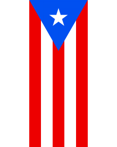 Bandera: Puerto Rico |  bandera vertical | 3.5m² | 300x120cm 