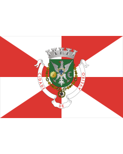 Flag: Aveiro District |  landscape flag | 0.06m² | 0.65sqft | 20x30cm | 8x12in 