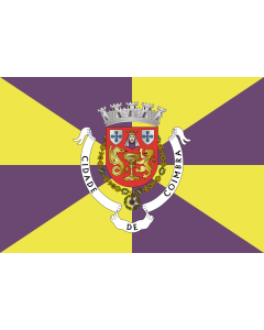 Flag: Coimbra District |  landscape flag | 0.06m² | 0.65sqft | 20x30cm | 8x12in 