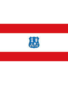 Bandera: Asunción | Escudo y bandera de la ciudad según la Ordenanza 208/01 |  bandera paisaje | 1.35m² | 85x160cm 