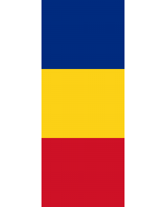 Flag: Romania |  portrait flag | 3.5m² | 38sqft | 300x120cm | 10x4ft 