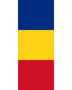 Bandera: Bandera vertical con manga cerrada para potencia Rumania |  bandera vertical | 3.5m² | 300x120cm 