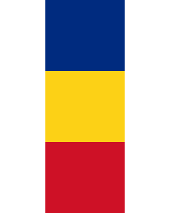 Bandera: Bandera vertical con manga cerrada para potencia Rumania |  bandera vertical | 6m² | 400x150cm 