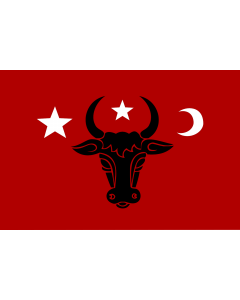 Flagge: Large Naval ensign of Moldavia 2  |  Querformat Fahne | 1.35m² | 90x150cm 