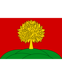 Flag: Lipetsk Oblast |  landscape flag | 0.96m² | 10sqft | 80x120cm | 2.5x4ft 