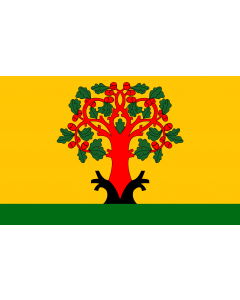 Flag: Town Tsivilsk  Chuvash Republic , Russhia |  landscape flag | 2.16m² | 23sqft | 120x180cm | 4x6ft 