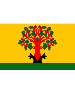 Flag: Town Tsivilsk  Chuvash Republic , Russhia |  landscape flag | 1.35m² | 14.5sqft | 90x150cm | 3x5ft 