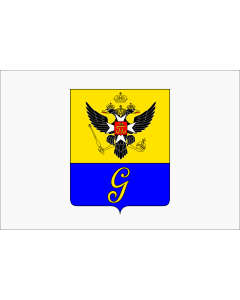 Flag: Gatchina  Leningrad oblast |  landscape flag | 1.35m² | 14.5sqft | 90x150cm | 3x5ft 