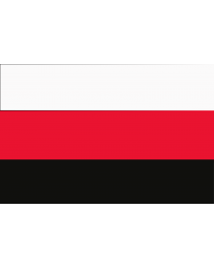 Flag: Kamchatka, 1921-1922 |  landscape flag | 2.16m² | 23sqft | 120x180cm | 4x6ft 