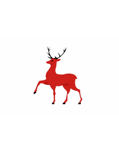 Flag: Nizhny Novgorod |  landscape flag | 2.16m² | 23sqft | 120x180cm | 4x6ft 
