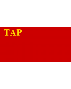 Flag: Tuvinian People s Republic, 1943-1944 |  landscape flag | 2.16m² | 23sqft | 100x200cm | 40x80inch 