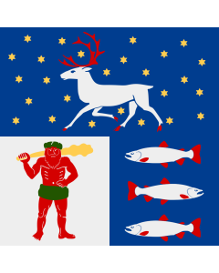 Flag: Västerbotten County |  0.135m² | 1.5sqft | 35x35cm | 15x15inch 