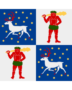 Flag: Norrbotten County |  0.135m² | 1.5sqft | 35x35cm | 15x15inch 