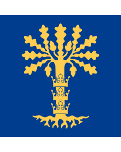 Flag: Blekinge County |  0.135m² | 1.5sqft | 35x35cm | 15x15inch 