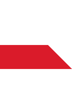 Flag: Bratislava  Slovakia |  landscape flag | 1.35m² | 14.5sqft | 90x150cm | 3x5ft 