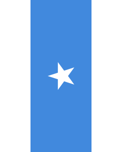 Bandera: Bandera vertical con manga cerrada para potencia Somalia |  bandera vertical | 3.5m² | 300x120cm 