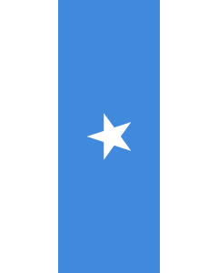 Bandera: Bandera vertical con manga cerrada para potencia Somalia |  bandera vertical | 6m² | 400x150cm 