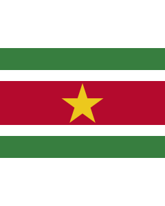 Flag: Suriname |  landscape flag | 0.375m² | 4sqft | 50x75cm | 1.5x2.5ft 