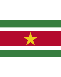 Flagge: XXL+ Suriname  |  Querformat Fahne | 3.75m² | 150x250cm 