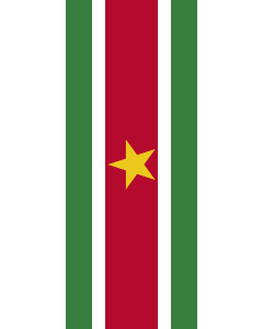 Banner-Flagge:  Suriname  |  Hochformat Fahne | 3.5m² | 300x120cm 