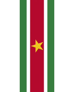 Bandiera: Suriname |  bandiera ritratto | 6m² | 400x150cm 