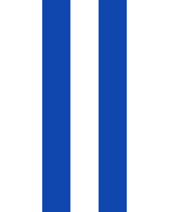 Bandera: Bandera vertical con manga cerrada para potencia El Salvador |  bandera vertical | 3.5m² | 300x120cm 