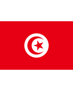 Flag: Tunisia |  landscape flag | 0.06m² | 0.65sqft | 20x30cm | 8x12in 