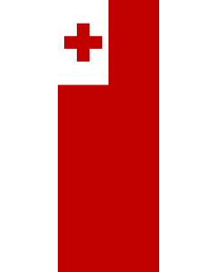 Vertical Hanging Swivel Crossbar Banner Flag: Tonga |  portrait flag | 6m² | 64sqft | 400x150cm | 13x5ft 