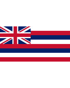 Flag: Hawaii |  landscape flag | 0.135m² | 1.5sqft | 25x50cm | 10x20inch 