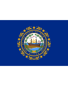 Flag: New Hampshire |  landscape flag | 0.135m² | 1.5sqft | 30x45cm | 1x1.5foot 