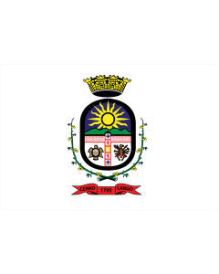 Flag: Cerro Largo Department |  landscape flag | 0.06m² | 0.65sqft | 20x30cm | 8x12in 