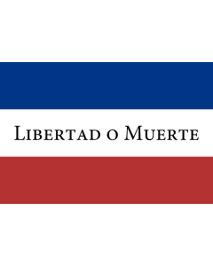 Flag: Treinta y Tres |  landscape flag | 0.06m² | 0.65sqft | 20x30cm | 8x12in 