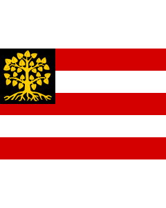 Flag: W en  s-Hertogenbosch |  landscape flag | 1.35m² | 14.5sqft | 90x150cm | 3x5ft 