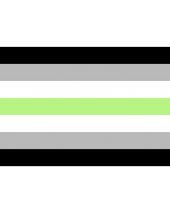 Flag: Agender pride | Agender people |  landscape flag | 1.35m² | 14.5sqft | 90x150cm | 3x5ft 