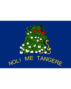 Flag: Alabama 1861, reverse |  landscape flag | 1.35m² | 14.5sqft | 90x150cm | 3x5ft 