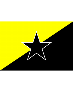 XX-anarcho-capitalism_with_star
