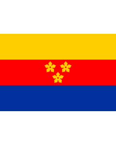 Flag: Duchy of Arenberg from 1803 to 1810 |  landscape flag | 1.35m² | 14.5sqft | 90x150cm | 3x5ft 