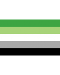 Flag: Aromantic |  landscape flag | 1.35m² | 14.5sqft | 90x150cm | 3x5ft 