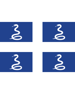Flag: Aux serpents de la Martinique |  landscape flag | 1.35m² | 14.5sqft | 90x150cm | 3x5ft 