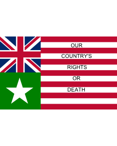 Flag: Inspired by Gail Borden Jr |  landscape flag | 1.35m² | 14.5sqft | 90x150cm | 3x5ft 