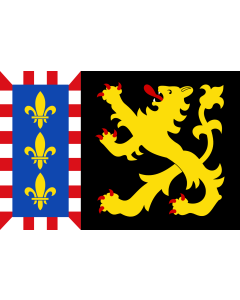 Flag: Bergeijk vlag 1987-1997 | Bergeijk 1987-1997, in North Brabant province |  landscape flag | 1.35m² | 14.5sqft | 90x150cm | 3x5ft 