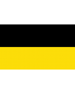 Flag: Generic flag black  #000000  and yellow  #fcdd09  5 x 3, colors according to Taller de Heráldica y Vexilología |  landscape flag | 1.35m² | 14.5sqft | 90x150cm | 3x5ft 