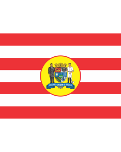 Flag: Blumenau |  landscape flag | 1.35m² | 14.5sqft | 90x150cm | 3x5ft 
