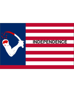 Flag: A flag of the Texas Revolution, designed by Capt |  landscape flag | 1.35m² | 14.5sqft | 90x150cm | 3x5ft 