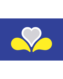 Flag: Brussels-Capital Region, adopted in 2015 |  landscape flag | 1.35m² | 14.5sqft | 90x150cm | 3x5ft 