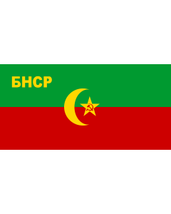 Bandera: Bukharan People s Soviet Republic | Bukharan People s Soviet Republic 1921–1923 | Флаг Бухарской Народной Советской Республики |  bandera paisaje | 1.35m² | 80x160cm 