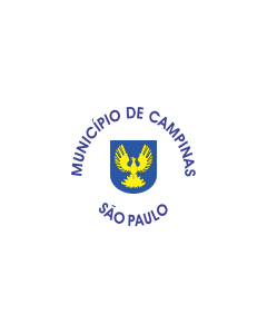 Flag: Campinas city  São Paulo, Brazil |  landscape flag | 1.35m² | 14.5sqft | 90x150cm | 3x5ft 
